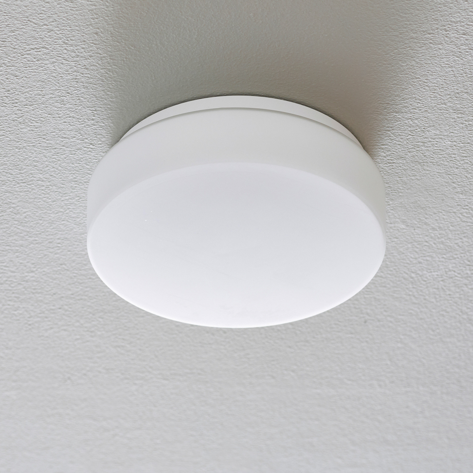 BEGA BEGA 50078 lampa sufitowa LED DALI 4 000 K 25cm