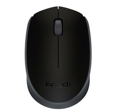 Logitech M171