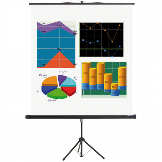 B2B Partner Ekran projekcyjny na statywie BASIC, 1800 x 1800 mm 100115