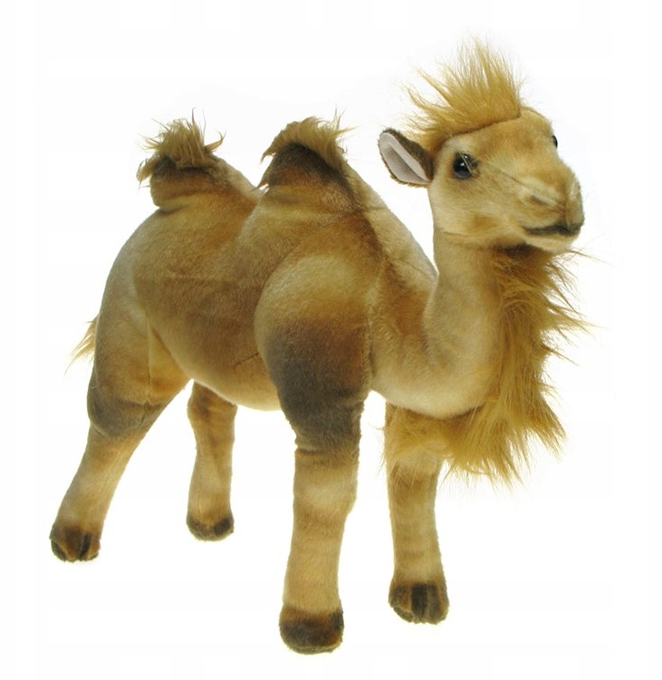 Zoo: maskotka stojący Wielbłąd 40cm (16580)