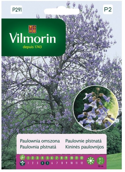 Vilmorin Nasiona paulownia omszona