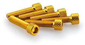 Puig 0544 G blister 6 śrub, M6, 25 mm, złoty 0544G