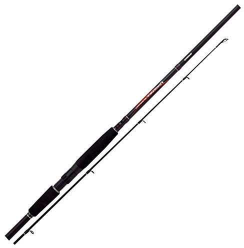 Shimano Vengeance BX SPG Shad H 2,40 m 20 50 G wędka ryb drapieżnych SVBX24SHH