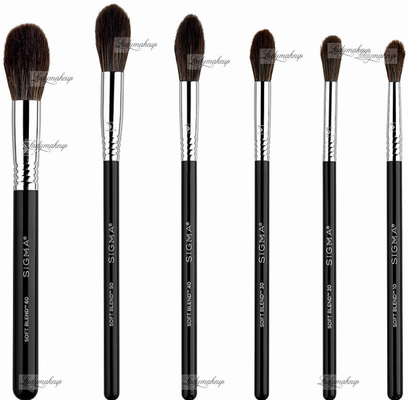 Sigma SOFT BLEND BRUSH SET - 6 MULTIFUNCIONAL BRUSHES - Zestaw 6 multifunkcyjnych pędzli do makijażu