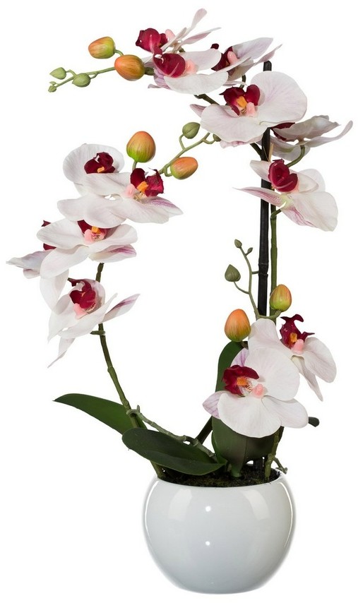 Sztuczna Orchidea w ceramicznej doniczce biały, 42 cm