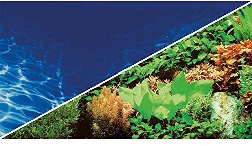 Hobby Foto tylna ścianka przycięta roślin 8, marin Niebieski, 120 x 50 cm
