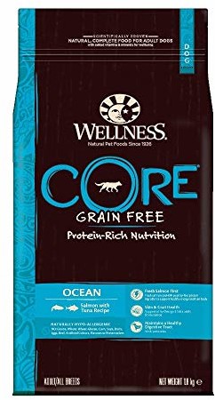 Wellness CORE Ocean Salmon s 10750