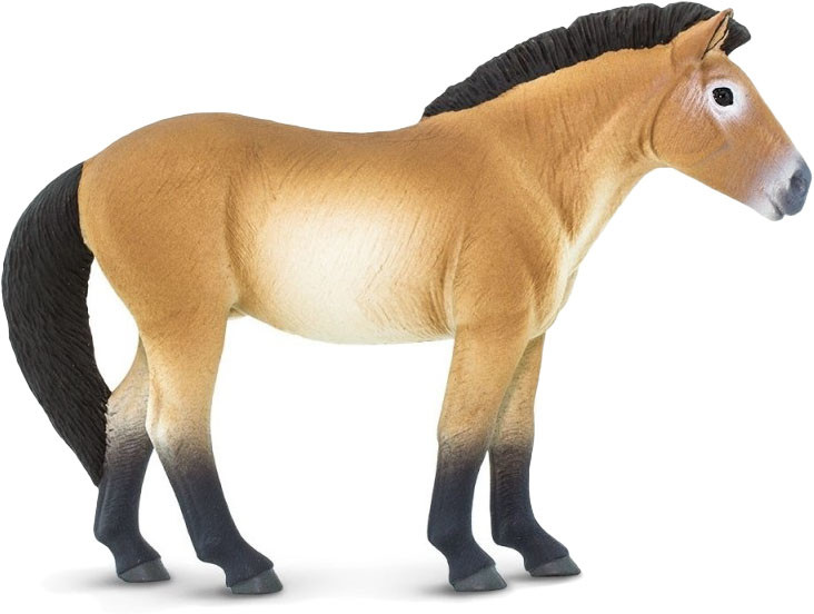 Safari Ltd Koń Przewalskiego