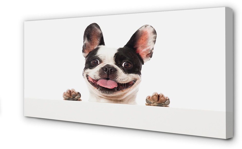 PL Tulup Obrazy na płótnie Pies 140x70cm