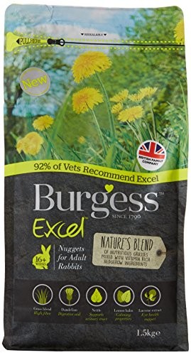 Burgess burgess Excel nuggets z Mint dorośli króliki 10 kg