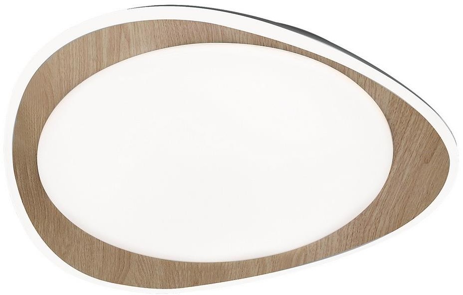 Rabalux 2427 - LED Plafon TAMINO LED/24W/230V