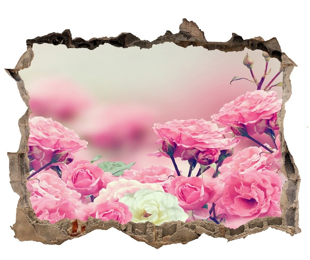 Wallmuralia.pl Samoprzylepna dziura na ścianę Kwiaty dzikiej róży