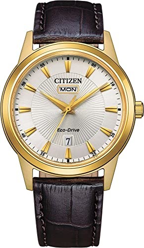Citizen Citizen Watch AW0102-13A
