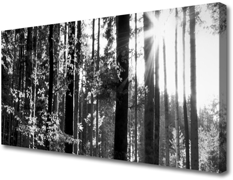 PL Tulup Obraz na Płótnie Las Natura Drzewa 140x70cm