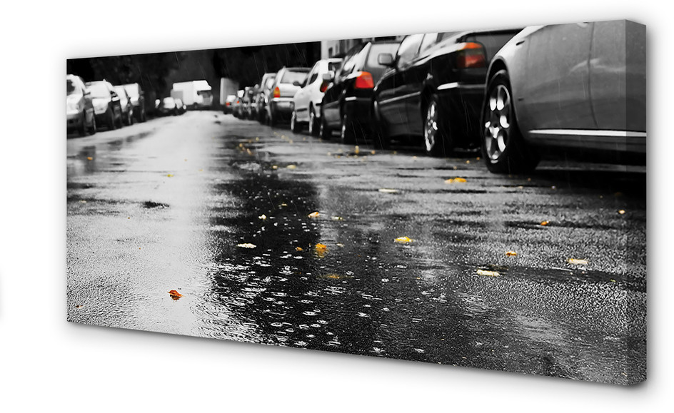 PL Tulup Obrazy na płótnie Auta jesień liście droga 100x50cm