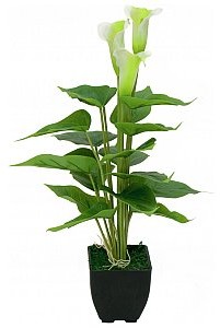 Europalms EUROPALMS Mini Calla, sztuczna roślina, biały, 43 cm 82540347