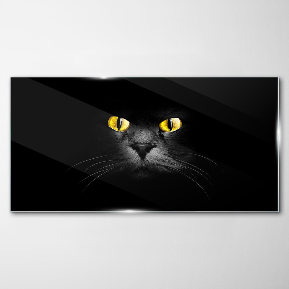 PL Coloray Obraz Szklany zwierzęta koty oczy 100x50cm