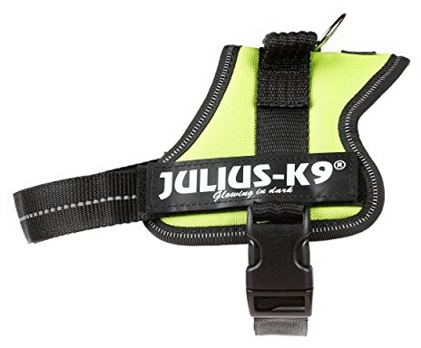 JULIUS K-9 Julius-K9, 162 KW, K9-power naczynia, kiwi, Mini, Kiwi 5999053611170