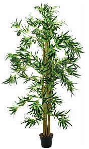 Europalms Europalms Bamboo multi trunk, 210cm, Sztuczna roślina 82509237
