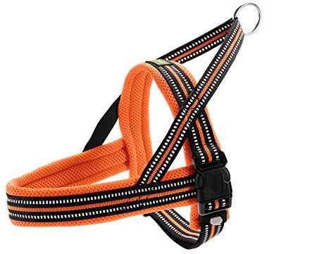 Hunter Meldal zastawa norweska, s, pomarańczowy