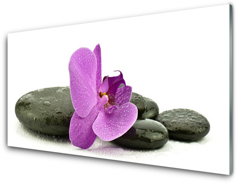 Tulup.pl Panel Szklany Kwiat Orchidea Storczyk 140x70cm