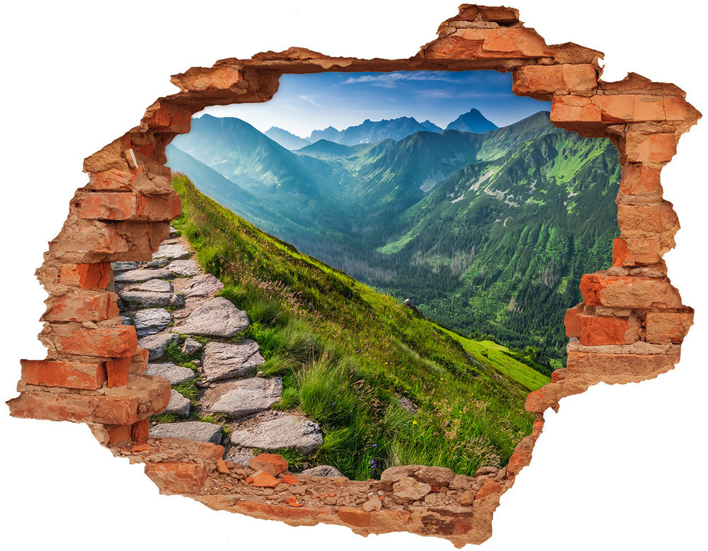 Wallmuralia.pl Dziura 3d w ścianie naklejka Ścieżka w Tatrach