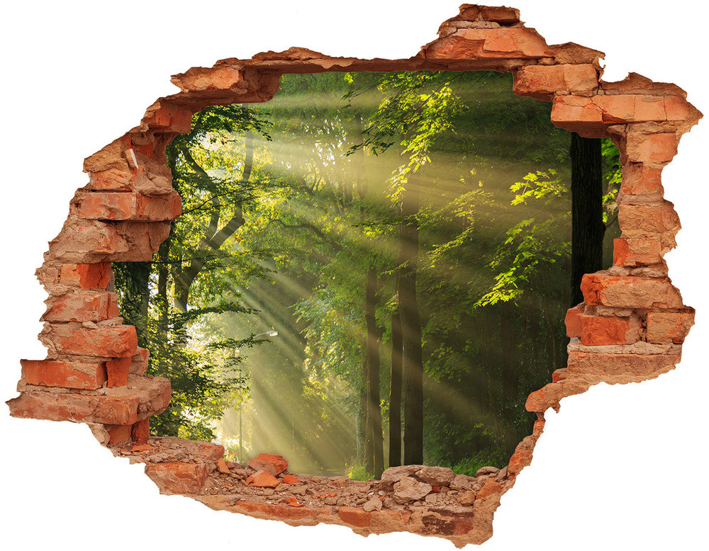 Wallmuralia.pl naklejka fototapeta 3D widok Las w słońcu