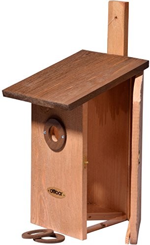 dobar domek dla ptaków skrzynka obserwacyjna dla ptaków, z drewna (sosna, lite drewno), do ogrodu, na balkon, ścianę, 3 różne otwory