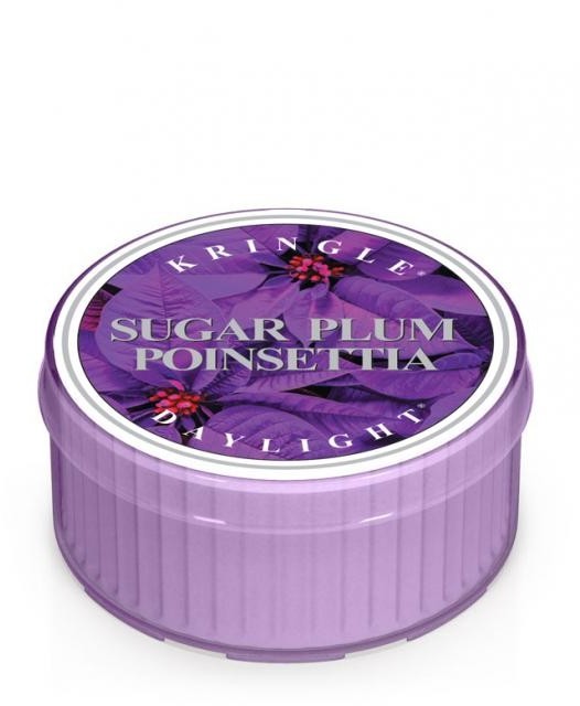 Kringle Candle CANDLE ŚWIECA 35G SUGAR PLUM POINSETTIA