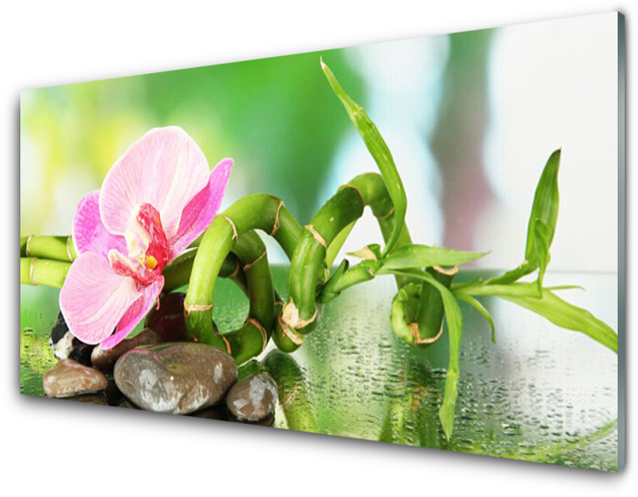 Tulup.pl Panel Szklany Bambus Łodyga Roślina Natura 125x50cm