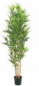 Europalms EUROPALMS Bamboo deluxe, sztuczna roślina bambus, 150 cm 82509166
