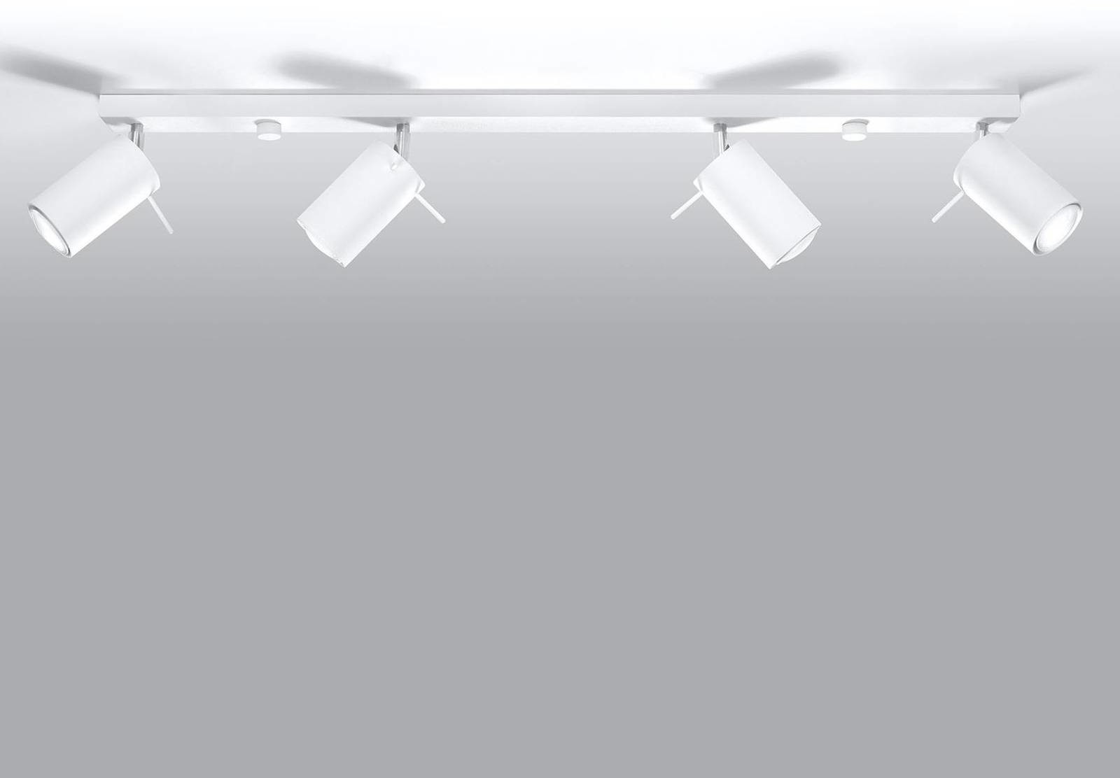 EULUNA Spot sufitowy Round, biały, 4-punktowy liniowy