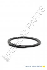 NEW HOLLAND CASE Pierścień CNH 11068976 11068976