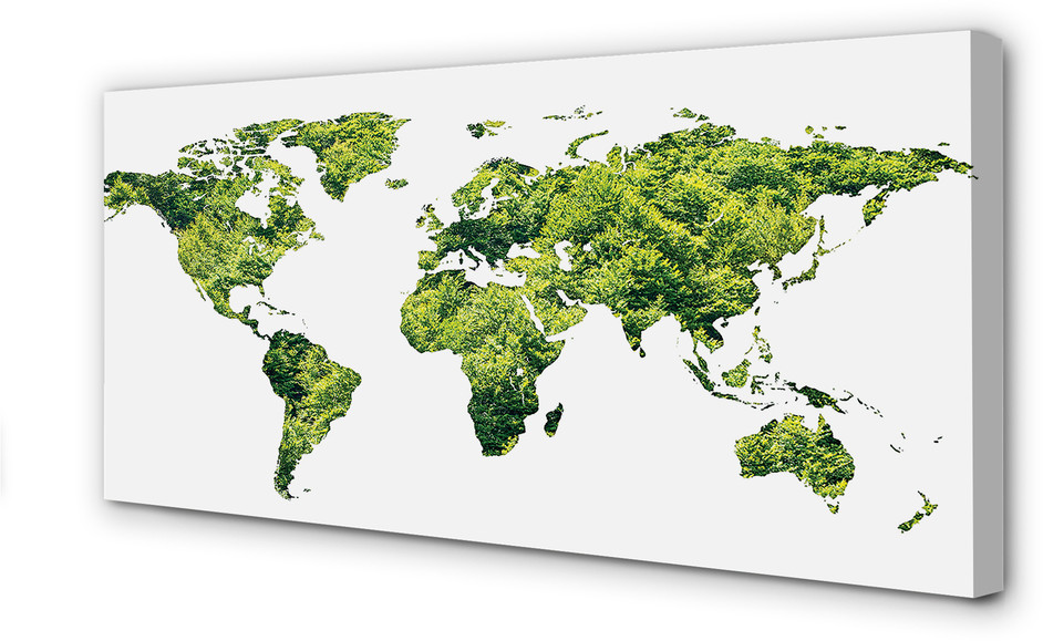 PL Tulup Obrazy na płótnie Mapa zielona trawa 120x60cm