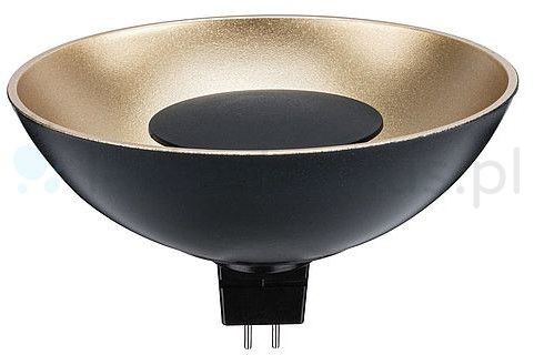 Paulmann żarówka led 28804