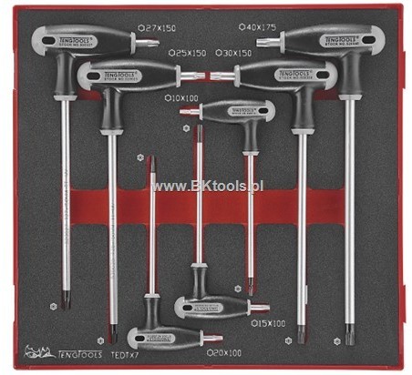 TENG TOOLS Zestaw kluczy trzpieniowych TX/TPX 238370100 TEDTX TengTools