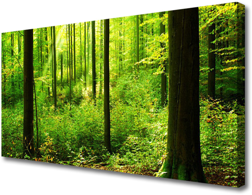 PL Tulup Obraz Canvas Las Zieleń Drzewa Natura 100x50cm
