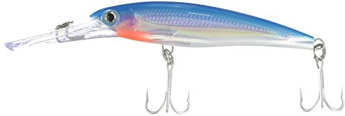 Rapala leurre xrap Magnum SB, 120 XRMAG15