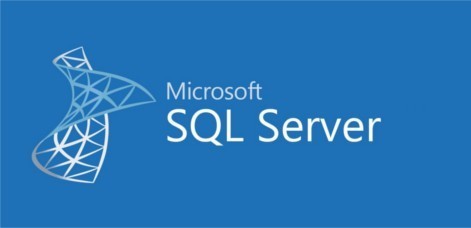 Microsoft MicrosoftSQLServerStandardEdition 2019 Government OLP 1License 228-11487