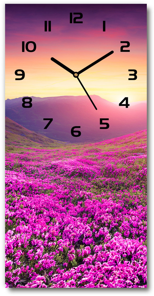 Zegar ścienny cichy Góry rododendron