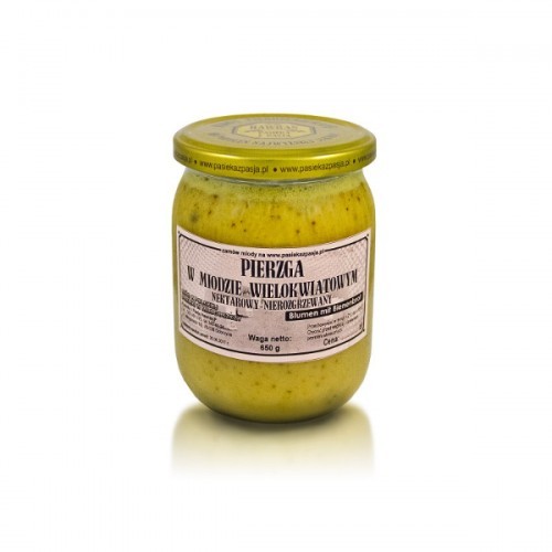 PASIEKA HAWRAN z Pasją PIERZGA W MIODZIE WIELOKWIATOWYM 650 g TT001341