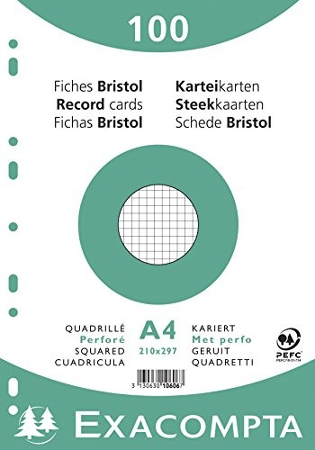 Exacompta Exacompta Bristol kwadratowe i perforowane białe karty płytowe, A4 - białe, opakowanie 100 sztuk 10606E