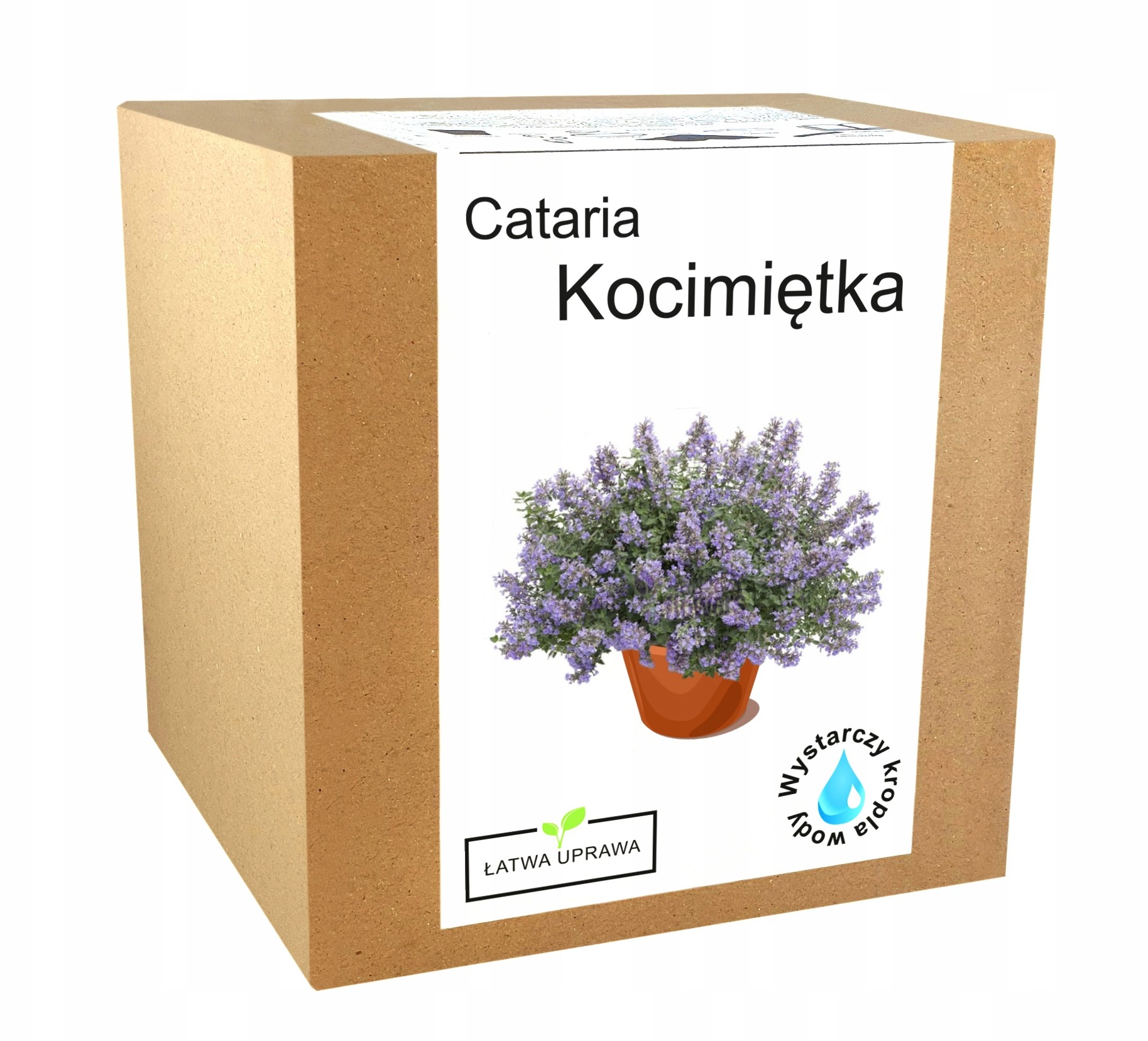 Zestaw do Uprawy Kocimiętka dla kota trawa Nepeta