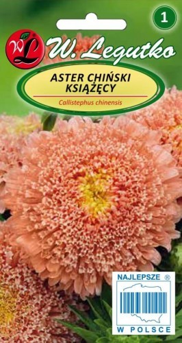 Legutko Aster chiński książęcy łososiowe 5903837061358