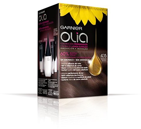 Garnier Coloration Permanente 4.15 Czekolada 3600541234574