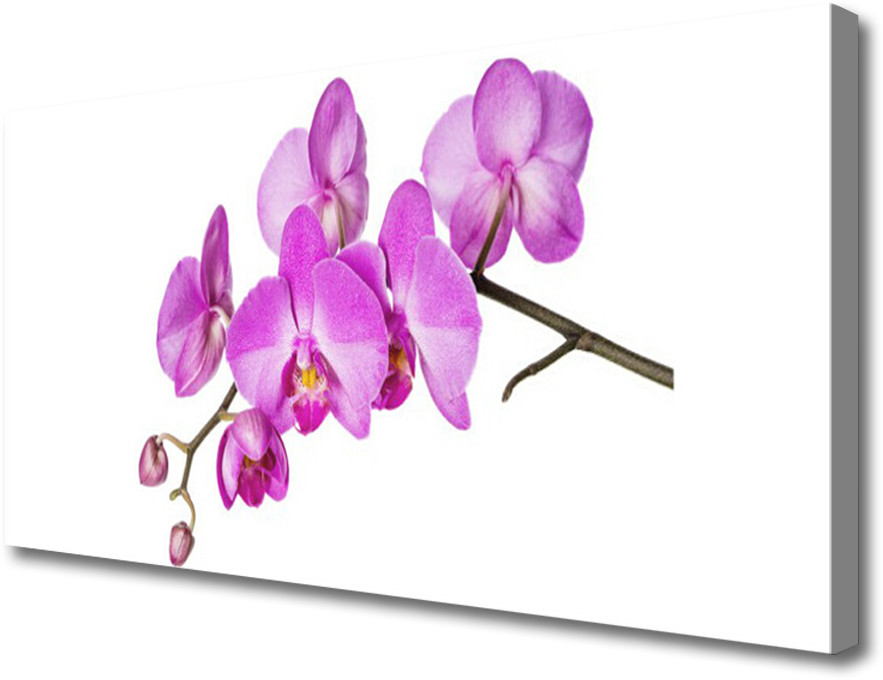 PL Tulup Obraz Canvas Storczyk Orchidea Kwiaty 100x50cm