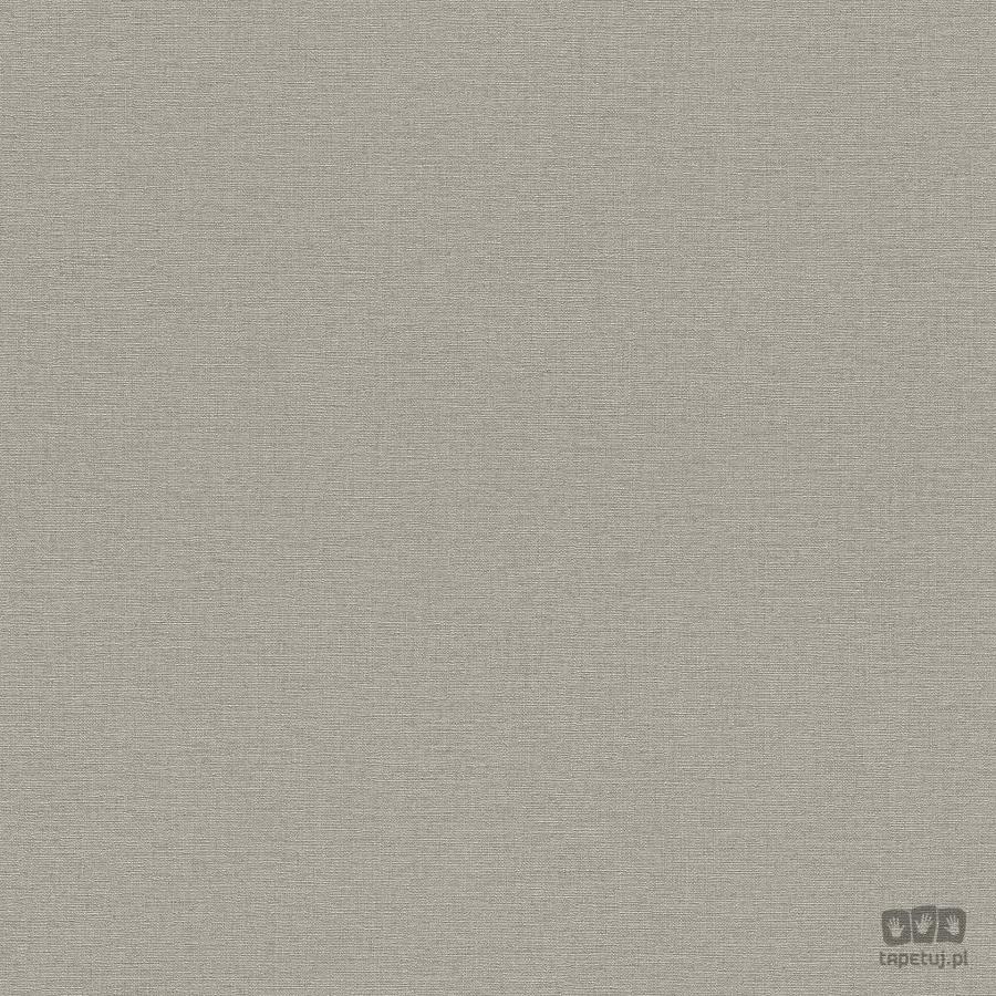 Rasch Wall Textures IV 452037 tapeta ścienna 452037