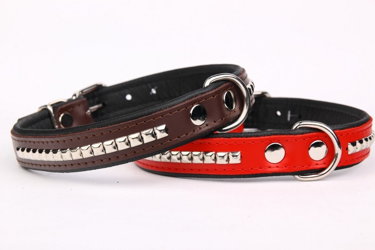dr Seidla ZOO LESZCZ (PL) Soldina Dla Psa Skóra Naturalna Z Kostkami 35 mm / 70 cm ZL0183/A ZOO LESZCZ (PL)