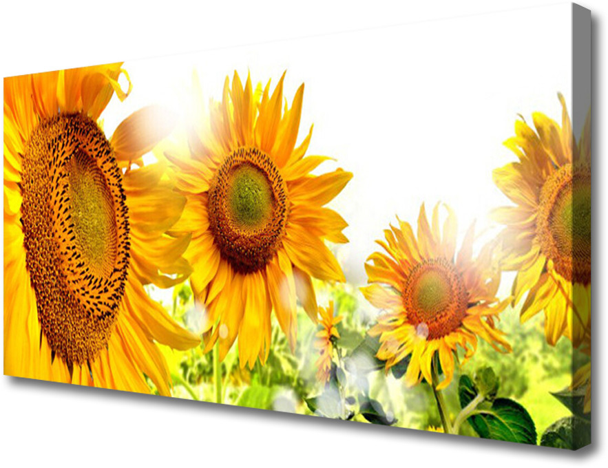 PL Tulup Obraz Canvas Słonecznik Kwiat Roślina 120x60cm
