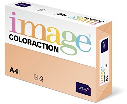 Antalis Własna colorac 838 A 120S 11   papier do kopiowania, DIN A4, 120 G/M, kolor: Savana  łososiowy 838A 120S 11